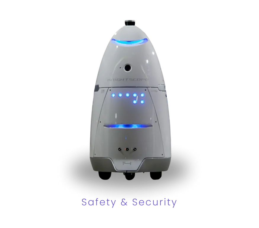 Safety and security robot